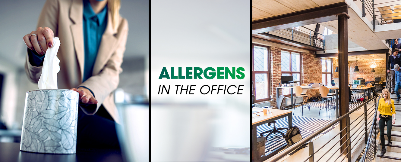 Allergens In The Office