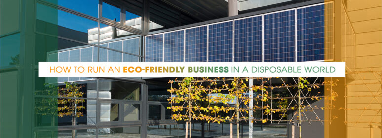 How to Run an Eco-Friendly Business in a Disposable World